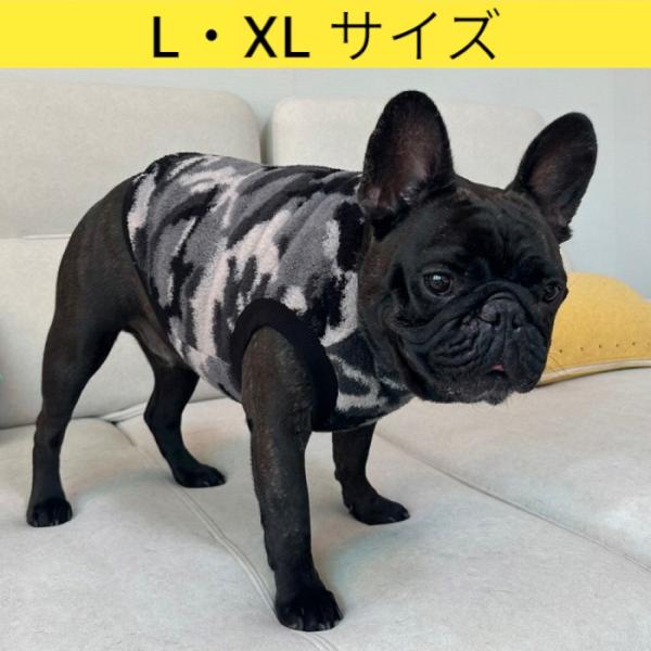 ザウルストレイントラウトスピンボロン ノリストゥイッチン80H