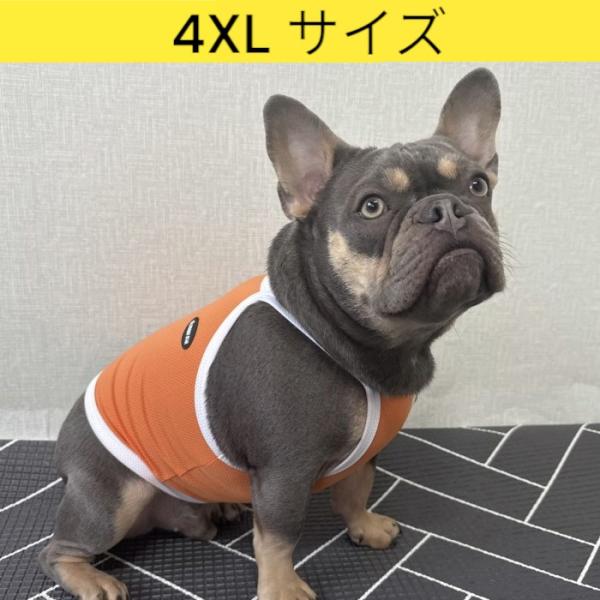 フレブル服 接触冷感 ひんやり 4XL クール スポーツ クロップド タンク