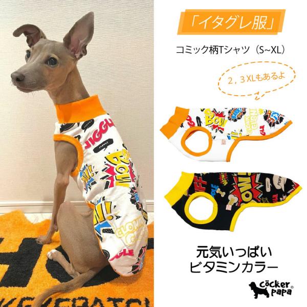 神戸 イタグレ服 Don T Touch Me 紫 ラグランスリーブ 犬用品