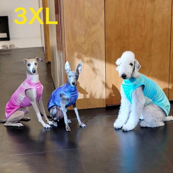 ウィペット服 ひえひえ クールベスト 中型犬 大型犬 夏服 蛍光色 接触