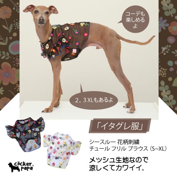 イタグレ服 シースルー 花柄 刺繍 チュール フリル ブラウス 小型犬