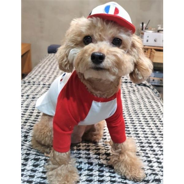 犬 服 かわいい Tシャツ 中型 犬 小型 犬 フランス ラグラン 長袖 Tシャツ S M L XL 犬服 おしゃれ ドッグウェア ペット服 cockerpapa コカパパ