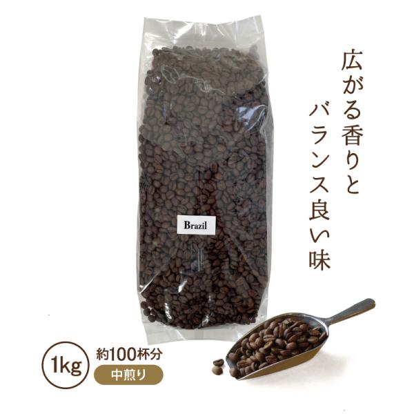 コーヒー豆 ブラジル 1kg 1000g コーヒー コーヒー粉 中煎り 業務用 1000g 自家焙煎 美味しい コクテール堂 送料無料