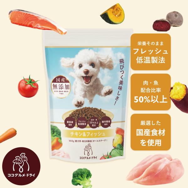ココグルメ・ドライ(850g×4個) 獣医師監修 ドッグフード 国産 無添加 総合栄養食 ドライフード ご飯 シニア犬