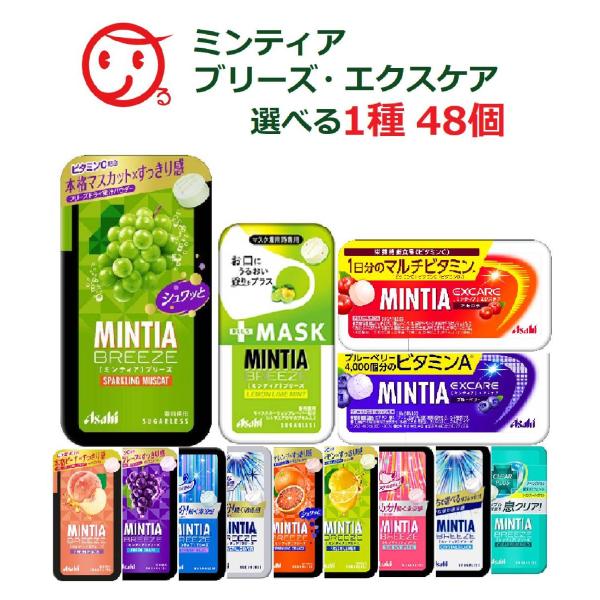 ミンティアブリーズ 選べるシリーズ 1種 48個 一部地域送料無料 アサヒグループ食品 1503 あるある景品ドットコム 通販 Yahoo ショッピング