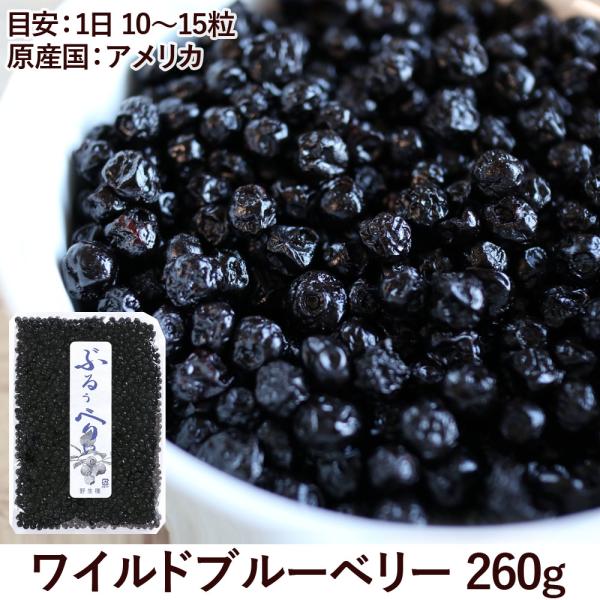 野生種 ブルーベリー 260g ぶるぅべりぃ アメリカ産 1 ここすまいる 通販 Yahoo ショッピング