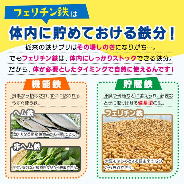 coco-yasashisaya_ferritin-1_3_d_20250730125336