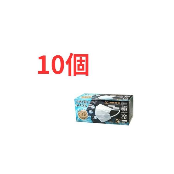 爆買 冷感マスク 不織布 50枚 極冷マスク １０個