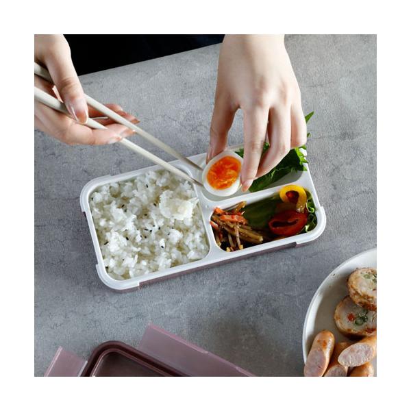 他サイト： シービージャパン 薄型弁当箱 抗菌フードマン400 バーガンディーの商品画像