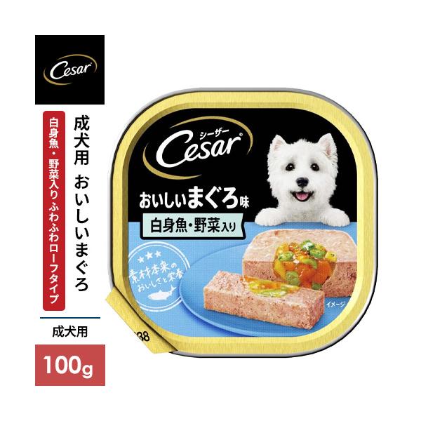 マースジャパン シーザー おいしいまぐろ 白身魚・野菜入り 100g CE71N