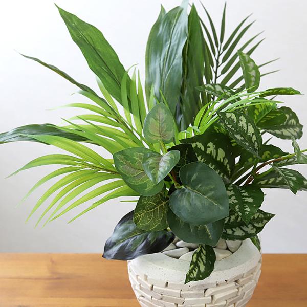 ■商品説明南国のアレンジに似合う、パームリーフなど4種類をセットにした「南国リーフMix」です。そのまま植木鉢に植えて観葉植物として飾ることができます。またお花と組み合わせで、南国のアレンジも簡単に作れます。本物の植物と違い、日当たりも気温...