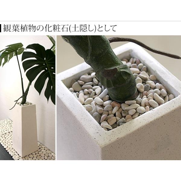 ナチュラルストーン Ss ミックス 化粧石 飾り石 観葉植物 マルチング 装飾用 化粧砂利 バリ雑貨 バリ風 インテリア メール便対応可 Buyee Buyee Japanese Proxy Service Buy From Japan Bot Online