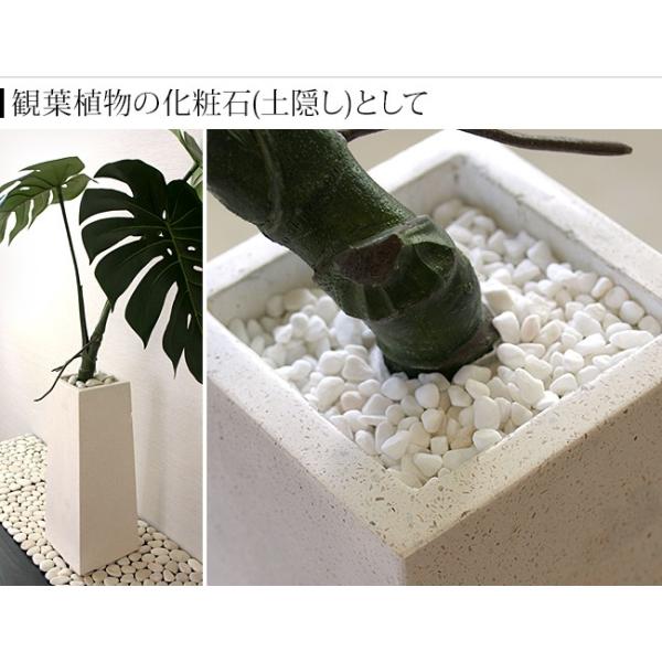 ナチュラルストーン Ss スノーホワイト 化粧石 飾り石 観葉植物 マルチング 装飾用 化粧砂利 白い石 白色 小粒 小石 バリ雑貨 メール便対応可 Buyee Buyee 日本の通販商品 オークションの代理入札 代理購入