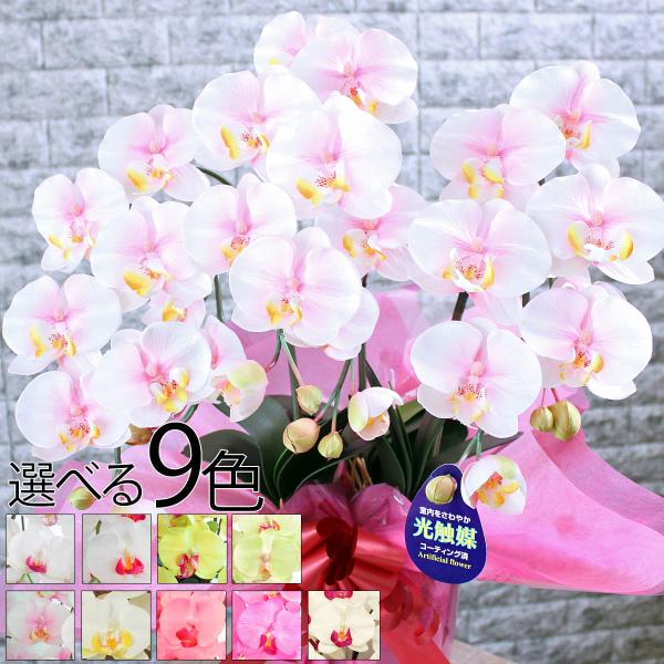 G} Ӓ 3{  Mtg JXj a ސEj   A hV̓ zj ACj j  ̓