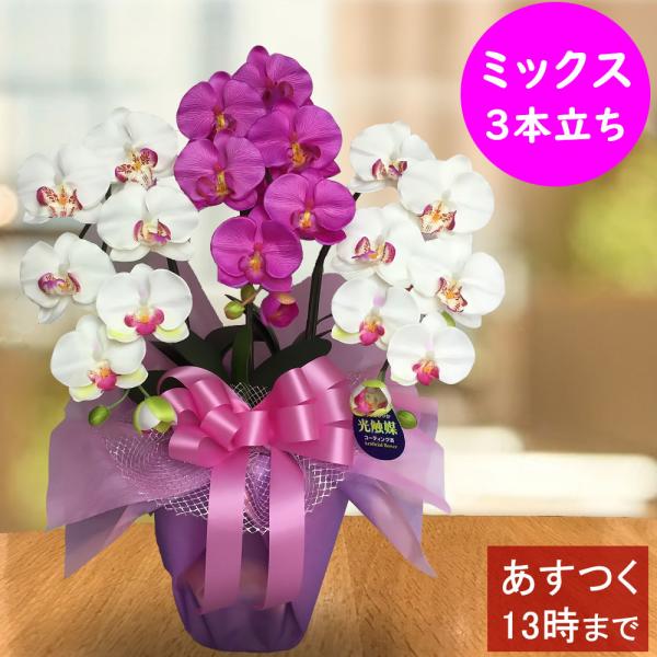 造花 アーティフィシャルフラワー 紫 胡蝶蘭の人気商品・通販 造花 アーティフィシャルフラワー 紫 胡蝶蘭の人気商品・通販