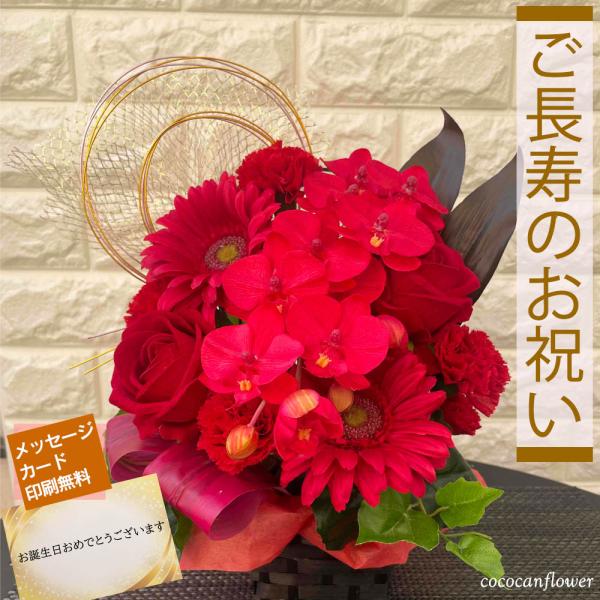 還暦祝い 胡蝶蘭 アレンジメント 光触媒 赤い花 プレゼント 長寿祝い