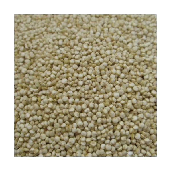 LkA V[h z[ I[KjbN 500g [hCn[u] JX|n[ueB[  L@JAS I[KjbN LmA