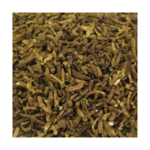 ڂ  Jbg {Y 20g [hCn[u] JX|n[ueB[  Y {Y  S{E S{E  