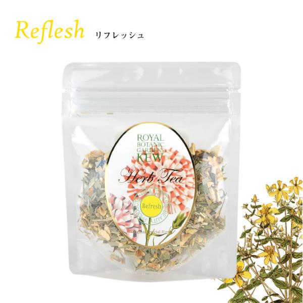 KEWK[f n[ueB[ tbV ܓ 20g@ JX