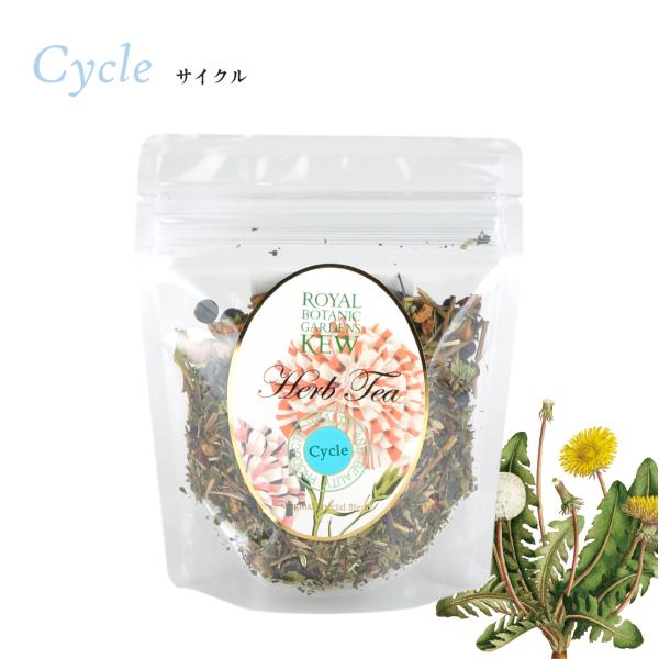 KEWK[f n[ueB[ TCN ܓ 40g@ JX