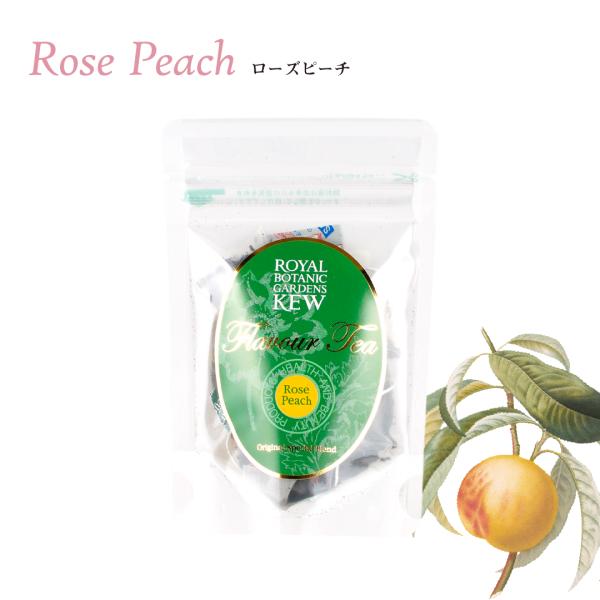 KEWK[f t[o[eB[ eB[obO6P [Ys[`@ JX