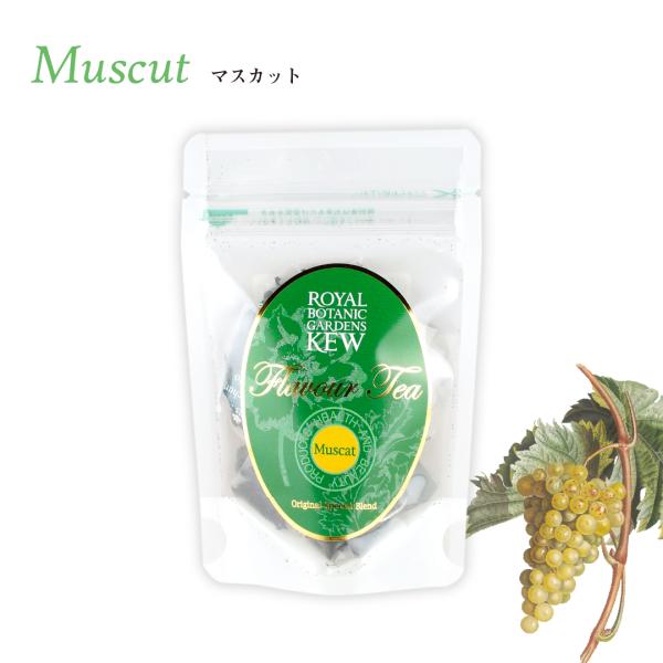 KEWK[f t[o[eB[ eB[obO6P }XJbg@ JX