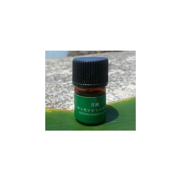 Young Living 沖縄 月桃 タイリン エッセンシャルオイル 5mL 再販スタート｜沖縄 月桃（タイリン）エッセンシャルオイル
