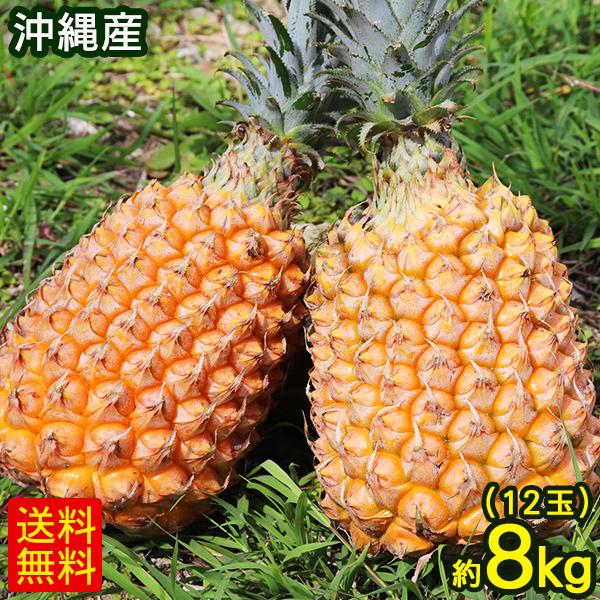 ackey　スナックパイン×12キロ分 ackey スナックパイン×12キロ分 snack_pine25_1.jpg