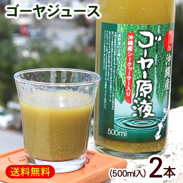 ゴーヤー原液 500ml×2本　/沖縄産 ゴーヤジュース 野菜ジュース シークワーサー果汁入り