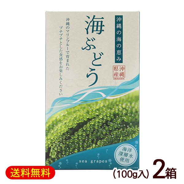 沖縄直送 海ぶどう 2キロ　茎無し　A良品　送料無料！ おきなわうみぶどう / 沖縄県産茎なし海ぶどう 2kg