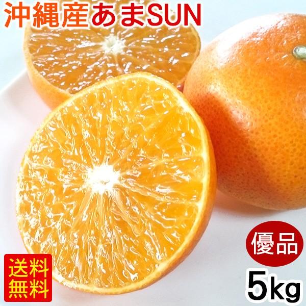 沖縄県産 Ｎさんの赤グアバ Ｂ品・Ｃ品約５kg【常温便】① 楽天市場】【送料無料】沖縄県産 グァバ 約5kg（赤・白おまかせ）南国