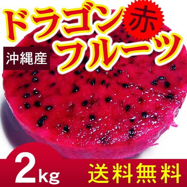 沖縄産 ドラゴンフルーツ 赤 レッド 2kg（4〜8玉） 自宅用 : 沖縄お 
