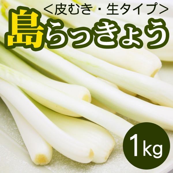 沖縄県産♪島らっきょう10㎏① 島らっきょう生 皮むき 1kg 沖縄産 島ラッキョウ 大幸商事 : 沖縄お