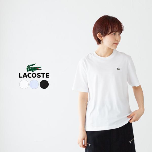 服/ラコステTシャツ LACOSTE（ラコステ） ワンポイント ソフトタッチ Tシャツ LACOSTE