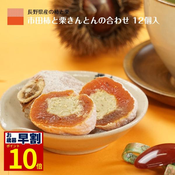 お歳暮 御歳暮 2025 早割 ギフト 市田柿 干し柿 ドライフルーツ 和菓子 スイーツ 化粧箱 贈答用 長野 産地直送 お祝い