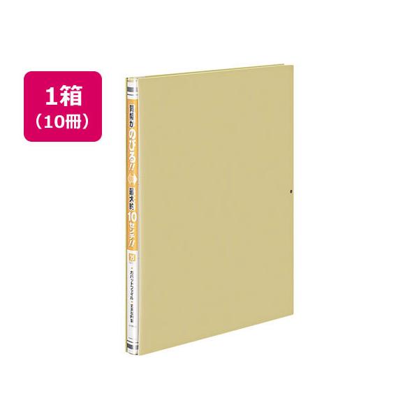 �R�N�� �K�o�b�g�t�@�C��(���p�^�C�v�EPP��) A4�^�e �� 10�� �w���ώ� �`�S �t���b�g�t�@�C�� �o�o�� ���^�[�t�@�C��