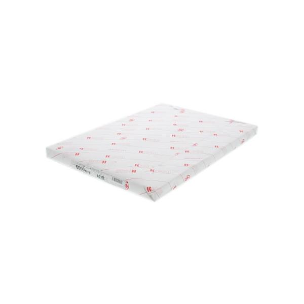 R[ tJ[Rs[p ^Cv6000(70W) A3 250 637879 `R J[[U[p [U[v^p