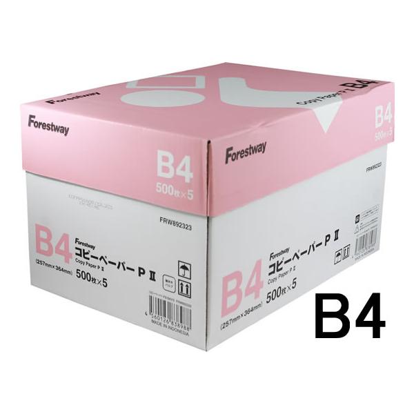 【仕様】●坪量：６４ｇ／ｍ2（四六判換算：５５ｋｇ）●紙厚：９１μｍ●白色度約９４％●サイズ：Ｂ４●高白色タイプ●入数：５００枚×５冊●環境に配慮したＥＣＦ漂白用紙●植林木パルプを使用●多用途に使用できる汎用性と経済性が魅力のコピー用紙です...