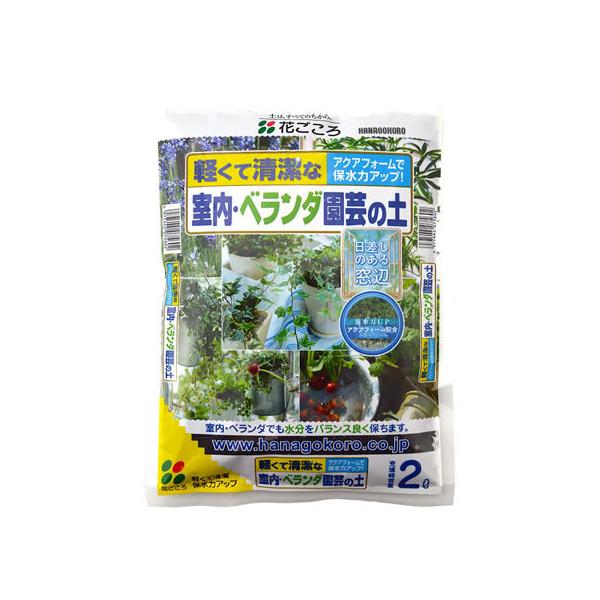 Ԃ x_|̓y 2L |{y y py | K[fjO