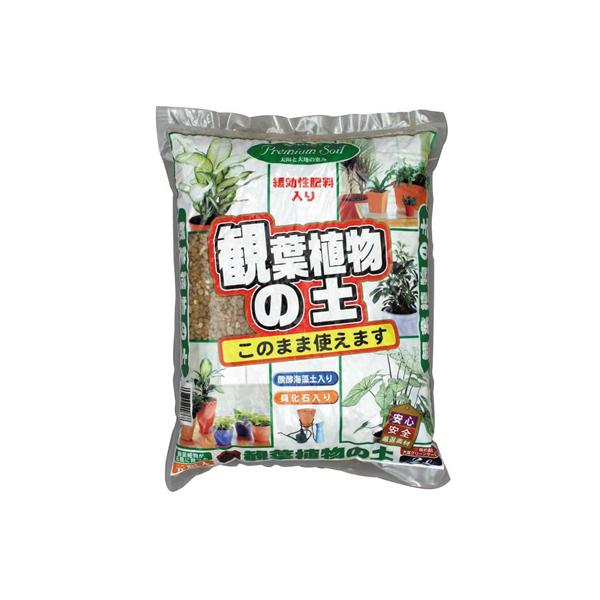 {GS ϗtA̓y 2L |{y y py | K[fjO