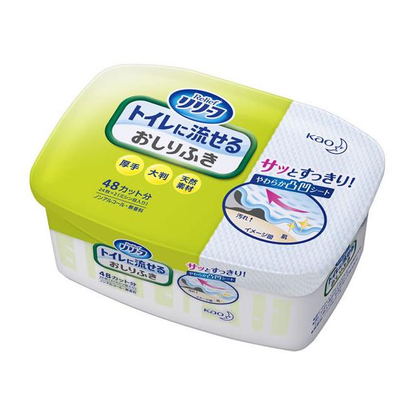 KAO [t gCɗ邨ӂ { 24 ӂ rPA  