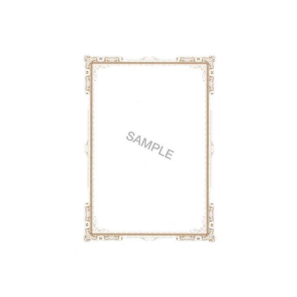 {@ ߁E܏p J22-24 E22-24 ΑӊǗ J @ߗl rWlXtH[ m[g