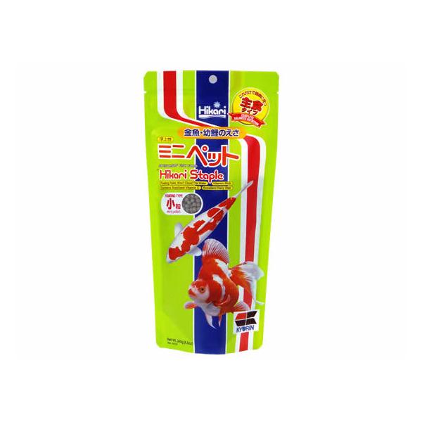 L[ ~jybg 240g  Wpt[h t[h Ϗ܋ ybg ANAE