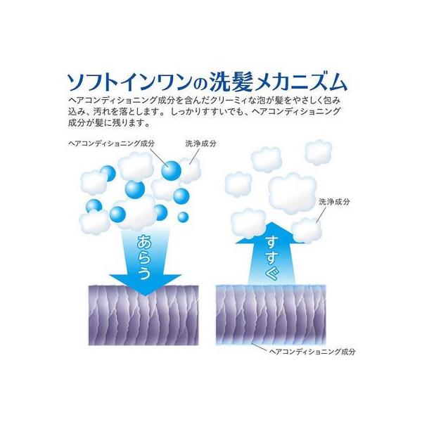 ���C�I�� �\�t�g�C�������V�����v�[ �X�b�L���f�I�h�����g �߂����p 370mL ���C�I�� �k�h�n�m ���i �V�����v�[ �����X �w�A�P�A ���i�摜3