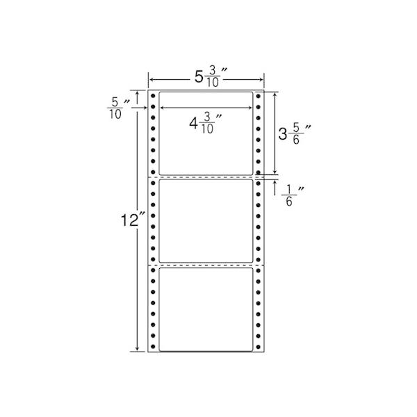 y[J[zNANA AxiitH[ 5(3E10)×12C` 3 1000 MT5Dysz܂Ƃߔ hbgv^pxV[ Sxp