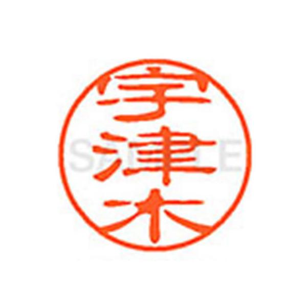 y񂹁zV`n^ XL-11(FÖ) XL1100351 E l[PP As l[ aPP X^v