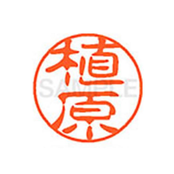 y񂹁zV`n^ XL-11(A) XL1100358 E l[PP As l[ aPP X^v