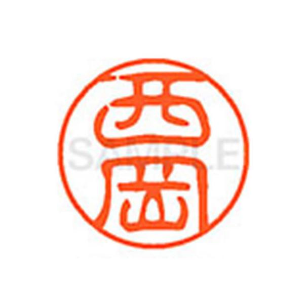 y񂹁zV`n^ XL-11() XL1101580 j l[PP is l[ aPP X^v