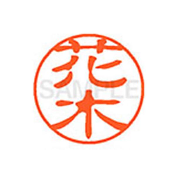 y񂹁zV`n^ XL-11(Ԗ) XL1101639 n l[PP ns l[ aPP X^v