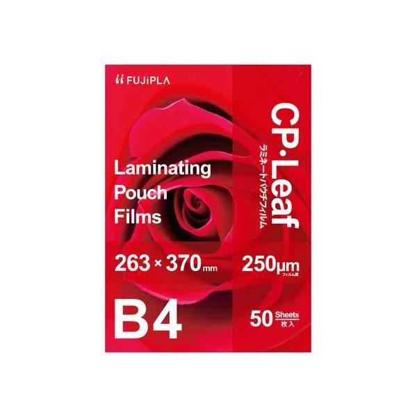 y񂹁zqTS CP[t ~l[gtB B4 250 50 CP2526337Y aS ~l[g pE`tB ~l[^[ ~l[gtB @